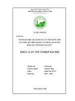 Đánh giá hiệu quả kinh tế cây chè giống mới của nông hộ trên địa bàn xã minh lập   huyện đồng hỷ   tỉnh thái nguyên 
