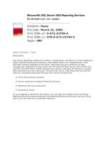Sams microsoft SQL server 2005 reporting services apr 2006 ISBN 0672327996  