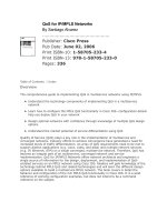 Cisco press qos for IP MPLS networks jun 2006 ISBN 1587052334  