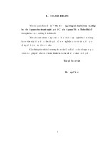Chất lượng công tác tuyên truyền pháp luật hải quan cho doanh nghiệp tại cục hải quan thừa thiên huế 