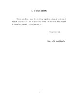 CỔ PHẦN hóa DOANH NGHIỆP NHÀ nước TRÊN địa bàn THÀNH PHỐ ĐỒNG hới, TỈNH QUẢNG BÌNH 