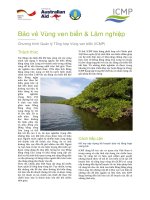 Coast  forest final VN  Bảo vệ vùng ven biển và lâm nghiệp