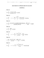 Solution manual for applied circuit analysis 1st edition by sadiku 
