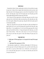 Phân tích và làm sáng tỏ vai trò của lễ tân ngoại giao trong việc thể hiện chủ quyền và thực hiện đường lối ngoại giao của quốc gia, bài tập lớn môn l 