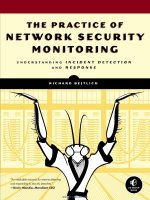 The practice of network security monitoring 
