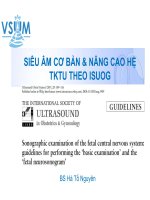 SIÊU ÂM CƠ BẢN & NÂNG CAO HỆ TKTU THEO ISUOG