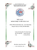 Phân tích tình hình cung – cầu về thị trường lúa gạo ở thị xã An Nhơn, tỉnh Bình Định