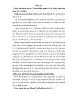 bt cá nhân hình sự 1(8 điểm) sáng ngày 2752009, nguyễn văn c (sinh năm 1987) điều khiển xe bò từ nhà mình ra bến sông để lấy cát  t và l (đều sinh n 