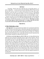 Bài tập lớn ASEAN (9 điểm) bình luận về các lĩnh vực ưu tiên hội nhập của ASEAN dưới góc độ cơ sở pháp lý, thực tiễn triển khai và vai trò đối với ti 