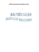 Các biện pháp bảo vệ quyền sở hữu trí tuệ ở việt nam 