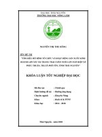 Tìm hiểu mô hình tổ chức và hoạt động sản xuất kinh doanh lợn nái tại trang trại chăn nuôi lợn ngô hiệp xã phúc thuận   thị xã phổ yên   tỉnh thái nguyên 