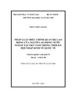 Pháp luật điều chỉnh quan hệ lao động của người lao động nước ngoài tại việt nam trong thời kỳ hội nhập kinh tế quốc tế  (TT) 