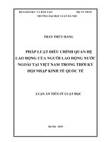 Pháp luật điều chỉnh quan hệ lao động của người lao động nước ngoài tại việt nam trong thời kỳ hội nhập kinh tế quốc tế  (luận án tiến sĩ) 