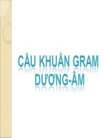 Thi thực hành Vi Sinh_ Cầu khuẩn Gram Dương+ Cầu khuẩn Gram âm