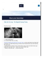 hinhanhhoc net sieu tu cung bs nguyen quang trong 2 4  