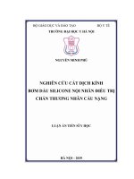Nghiên cứu cắt dịch kính bơm dầu silicone nội nhãn điều trị chấn thương nhãn cầu nặng (FULL TEXT)