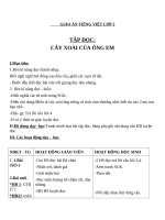 Giáo án Tiếng Việt 2 tuần 11 bài: Tập đọc  Cây xoài của ông em