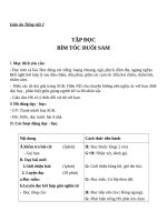 Giáo án Tiếng Việt 2 tuần 4 bài: Tập đọc  Bím tóc đuôi sam