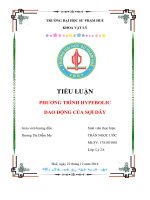 DAO ĐỘNG của sợi dây