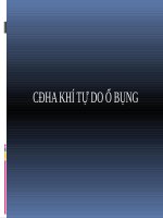 Cdha xquang thủng tạng rỗng