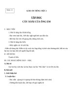 Giáo án Tiếng Việt 2 tuần 11 bài: Tập đọc  Cây xoài của ông em