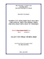 Nghiên cứu tổng hợp chất màu đen cho gốm sứ trên nền spinel theo phương pháp tiền chất từ tinh bột (tt) 