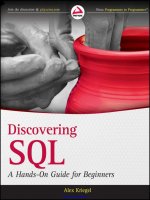 Discovering SQL 