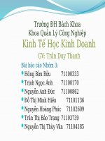 Báo cáo tiểu luận Kinh tế học Kinh doanh: Lợi ích và rủi ro của việc pepsico VN bán 51% cổ phần cho công ty suntory nhật bản, và những tác động xung quanh thị trường nước giải khát