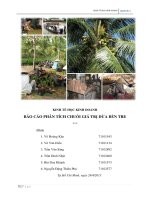 Báo cáo tiểu luận Kinh tế học kinh doanh-Phân tích chuỗi giá trị dừa Bến Tre