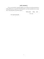 Nghiên cứu công nghệ chế tạo dây và cột nano silic trên cơ sở công nghệ vi cơ điện tử   NCS nguyễn văn minh 