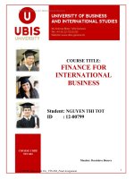 MGT 604_Strategic Management: Final Assignment BUSINESS STRATEGIC FOR PHUONG NAM COMPANY