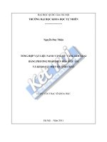 Tổng hợp vật liệu nano vàng từ vàng kim loại bằng phương pháp phát điện hóa siêu âm và khảo sát một số tính chất 