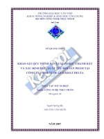 Khảo sát quy trình sản xuất puree chanh dây và xác định hiệu suất thu hồi sản phẩm tại công ty TNHH nước giải khát delta 