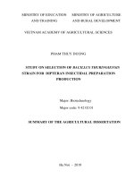 Nghiên cứu tuyển chọn vi khuẩn bacillus thuringiensis phục vụ tạo chế phẩm diệt côn trùng bộ hai cánh (diptera) tt tiếng anh 