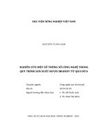 Nghiên cứu một số thông số công nghệ trong quy trình sản xuất rượu brandy từ quả dứa 