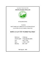 Hoàn thiện quy trình sản xuất bánh mì ngọt tại xưởng sản xuất khoa công nghệ sinh học   công nghệ thực phẩm 