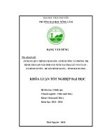 Áp dụng quy trình chăm sóc, nuôi dưỡng và phòng trị bệnh cho lợn nái sinh sản nuôi tại trang trại lê văn tuấn   xã bình xuyên   huyện bình giang   tỉnh hải dương 