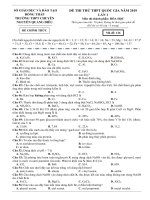 96  chuyên nguyễn quang diêu   đồng tháp   lần 1   năm 2019 