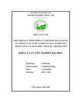 Thực hiện quy trình trồng và chăm sóc bảo vệ rừng sau trồng vụ xuân hè tại đội sản xuất xã hợp tiến thuộc công ty lâm nghiệp   huyện đồng hỷ   tỉnh thái nguyên 