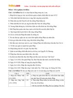 Bộ đề thi giữa học kì 2 lớp 8 môn Lịch sử