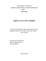 BƯỚC ĐẤU THỬ NGHIỆM Ủ THỊT CÁ ĐỔNG BẰNG NẤM MỐC  ASPERGILLUS ORYZAE VÀ LÊN MEN LACTIC THỊT CÁ ĐỔNG  BẰNG CƠM MẺ   