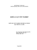   BƯỚC ĐẦU THỬ NGHIỆM CHẾ BIẾN SẢN PHẨM   HẠT NÊM TỪ CÁ CƠM  