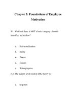 Đề cương trắc nghiệm Hành Vi Tổ Chức (Organizational Behavior) CHƯƠNG 3