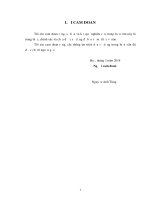 Hoàn thiện công tác thanh tra, kiểm tra thuế doanh nghiệp có vốn đầu tư nước ngoài trên địa bàn tỉnh thanh hóa 
