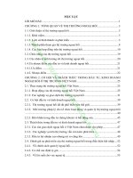 Cơ hội và thách thức trong lĩnh vực đầu tư, kinh doanh ngoại hối ở Việt Nam