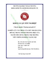 NGHIÊN CỨU TÁC ĐỘNG CỦA MỨC ĐỘ HÀI LÒNG ĐẾN SỰ TRUNG THÀNH THƯƠNG HIỆU CỦA NGƯỜI TIÊU DÙNG TRONG THỊ TRƯỜNG VIỄN THÔNG DI ĐỘNG TẠI HÀ NỘI