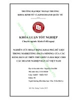 NGHIÊN CỨU HOẠT ĐỘNG KHAI PHÁ DỮ LIỆU TRONG MARKETING (DATA-MINING) CỦA CÁC  HÃNG BÁN LẺ TRÊN THẾ GIỚI VÀ BÀI HỌC CHO CÁC DOANH NGHIỆP BÁN LẺ VIỆT NAM