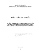   SO SÁNH TÍNH KHÁNG VÀ ĐA KHÁNG KHÁNG SINH CỦA  VI KHUẨN CỘNG SINH Escherichia coli TRÊN MẪU PHÂN  LẬP TỪ NGƯỜI VÀ CÁ TRA (Pangasianodon hypophthalmus)   