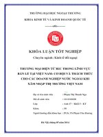 THƯƠNG MẠI ĐIỆN TỬ B2C TRONG LĨNH VỰC BÁN LẺ TẠI VIỆT NAM: CƠ HỘI VÀ THÁCH THỨC CHO CÁC DOANH NGHIỆP NƯỚC NGOÀI KHI XÂM NHẬP THỊ TRƯỜNG VIỆT NAM