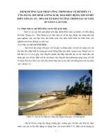 ĐỊNH HƯỚNG GIẢI PHÁP CÔNG TRÌNH BẢO VỆ BỜ BIỂN VÀ ỨNG DỤNG MÔ HÌNH LITPACK DỰ BÁO BIẾN ĐỘNG XÓI LỞ BỜ BIỂN THUẬN AN  HÒA DUÂN KHI CÓ CÔNG TRÌNH SAU 01 NĂM, 05 NĂM VÀ 10 NĂM